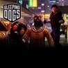 Sleeping Dogs: Year of the Snake