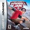 Tony Hawk's Downhill Jam