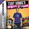 Tony Hawk's American Sk8land