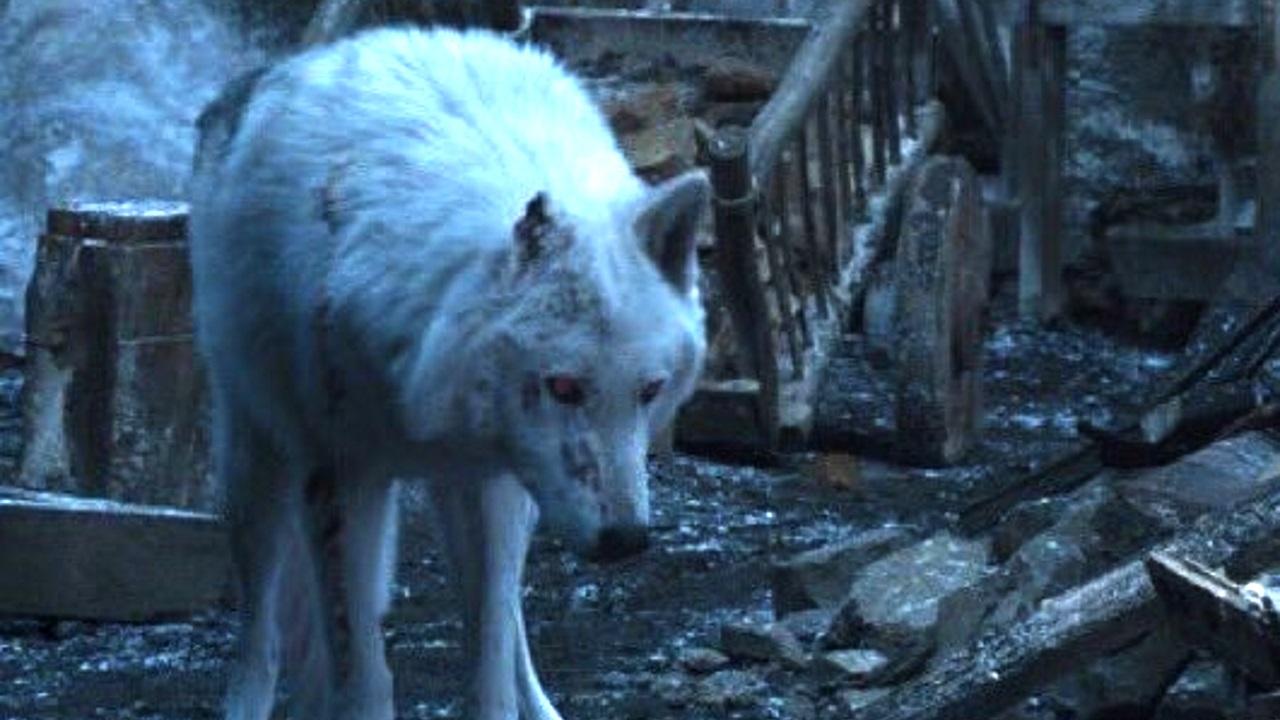 Game of Thrones y la nada convincente explicación de por qué Jon no se despidió de Ghost
